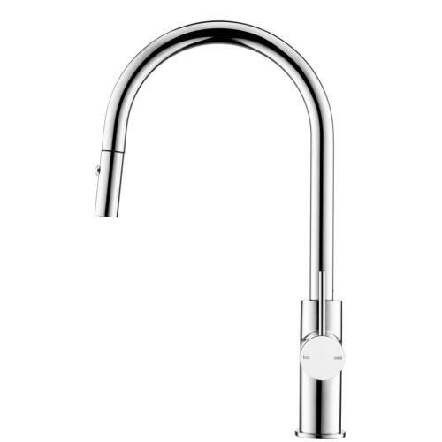 TAPWARE - Mica Pull Out Sink Mixer - Chrome